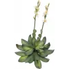 EUROPALMS Stone Rose (EVA) kunstplant, geel, 32cm 82530573