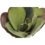 EUROPALMS kunstmatige waterlelie (EVA), gesloten, groen, 45cm 82530575