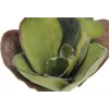 EUROPALMS kunstmatige waterlelie (EVA), gesloten, groen, 45cm 82530575