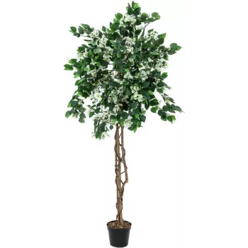 EUROPALMS Bougainvillea kunstplant, wit, 180 cm 82507086