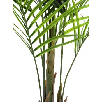 EUROPALMS groenbladige Areca kunstplant, 165cm 82509441
