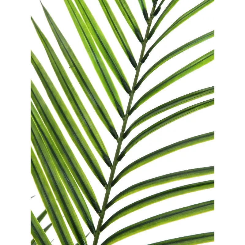 EUROPALMS groenbladige Areca kunstplant, 165cm 82509441