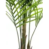 EUROPALMS groenbladige Areca kunstplant, 165cm 82509441