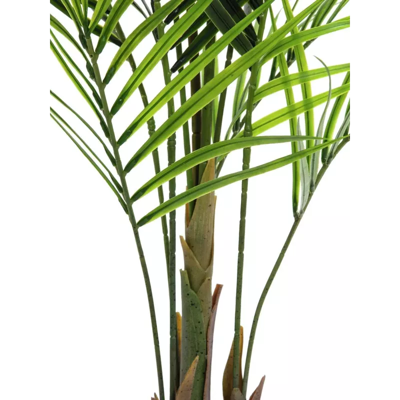 EUROPALMS groenbladige Areca kunstplant, 165cm 82509441