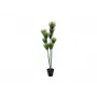 EUROPALMS kunstmatige papyrusplant, 150cm, groen, in zwarte pot 82600223