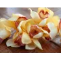 EUROPALMS kunstmatige Cymbidium-tak, geel, 90cm 82530314
