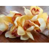 EUROPALMS kunstmatige Cymbidium-tak, geel, 90cm 82530314