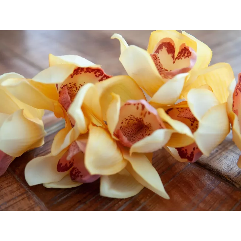 EUROPALMS kunstmatige Cymbidium-tak, geel, 90cm 82530314