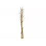 EUROPALMS gedroogde venkelboeket, goud, 160cm 83502363