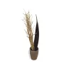 EUROPALMS gedroogde venkelboeket, goud, 160cm 83502363
