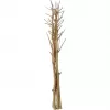 EUROPALMS gedroogde venkelboeket, goud, 160cm 83502363