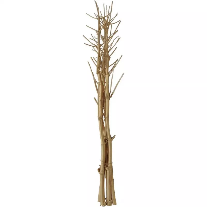 EUROPALMS gedroogde venkelboeket, goud, 160cm 83502363