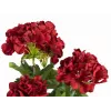 EUROPALMS kunstmatige geranium, donkerrood, 42cm 82600112