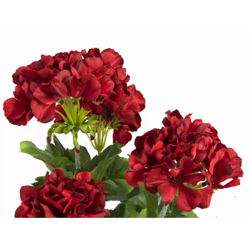 EUROPALMS kunstmatige geranium, donkerrood, 42cm 82600112