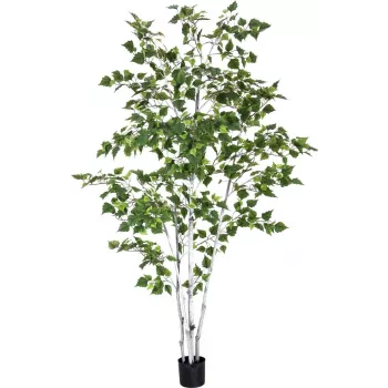 EUROPALMS kunstmatige berk, 210 cm 82505232