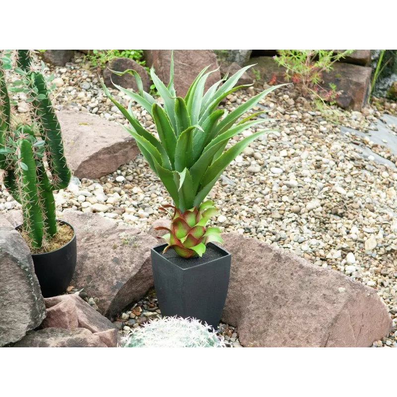 EUROPALMS agave in pot, kunstplant, 75cm 82600160