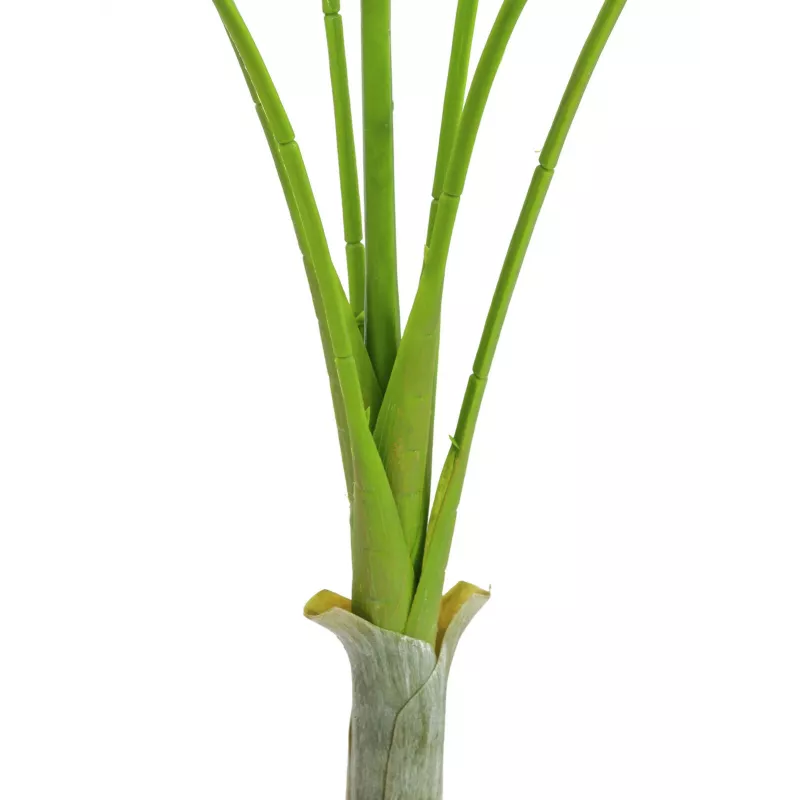EUROPALMS Areca deluxe kunstplant, 180cm 82509443