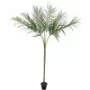 EUROPALMS Areca deluxe kunstplant, 180cm 82509443
