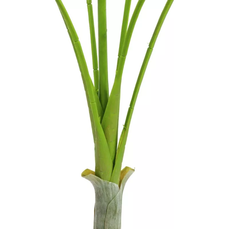 EUROPALMS Areca deluxe kunstplant, 180cm 82509443