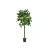 EUROPALMS kunstmatige citroenboom, 180cm 82507816