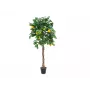 EUROPALMS kunstmatige citroenboom, 180cm 82507816