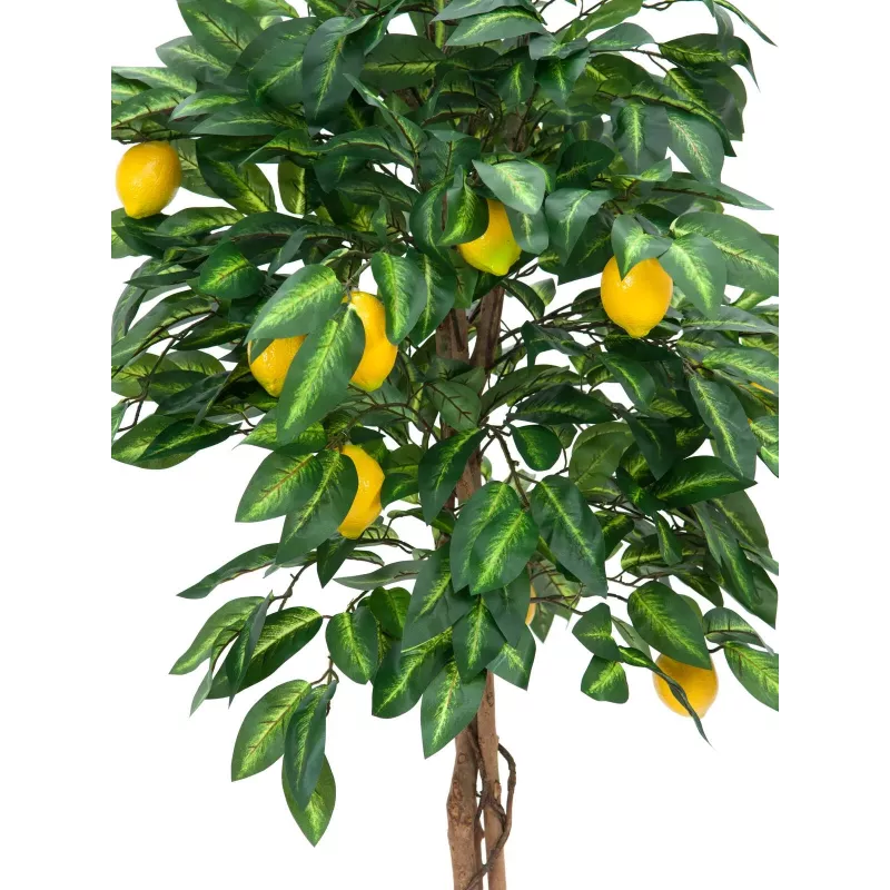 EUROPALMS kunstmatige citroenboom, 180cm 82507816