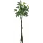 EUROPALMS kunstmatige Pachira geldboom, 160cm 82600165