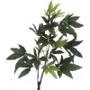 EUROPALMS kunstmatige Pachira geldboom, 160cm 82600165