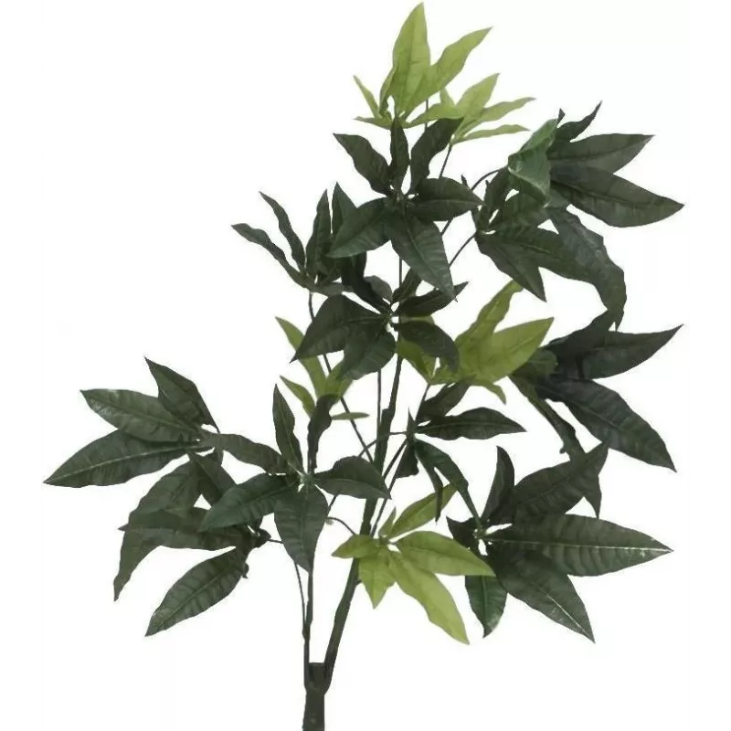 EUROPALMS kunstmatige Pachira geldboom, 160cm 82600165