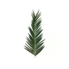 EUROPALMS kunstmatige kokospalmblad, 150 cm 82509845