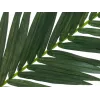 EUROPALMS kunstmatige kokospalmblad, 150 cm 82509845