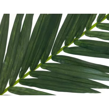 EUROPALMS kunstmatige kokospalmblad, 150 cm 82509845