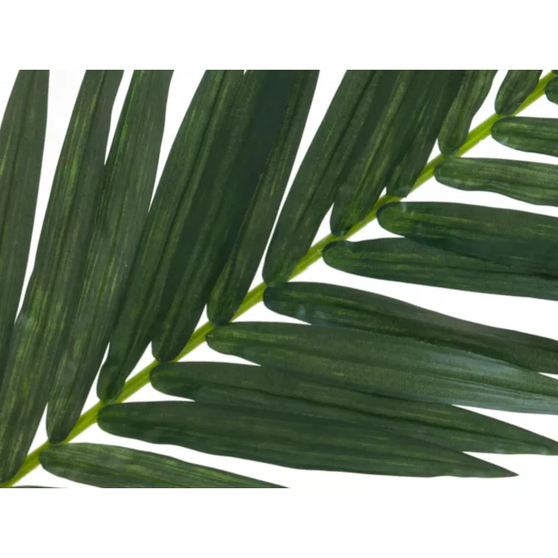 EUROPALMS kunstmatige kokospalmblad, 150 cm 82509845