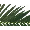 EUROPALMS kunstmatige kokospalmblad, 150 cm 82509845