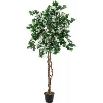 EUROPALMS Bougainvillea kunstplant, wit, 150cm 82507085