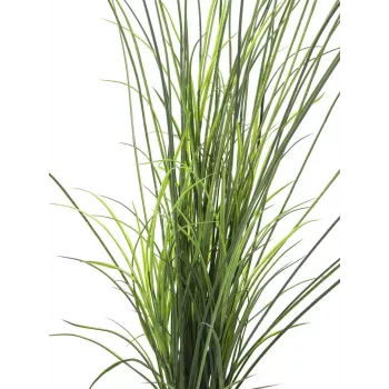 EUROPALMS kunstmatig rietgras, 145cm, groen/bruin, voorgespoten 82600229