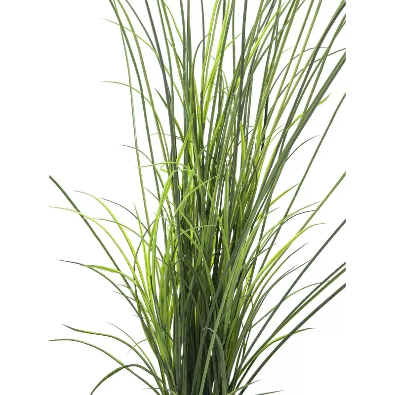 EUROPALMS kunstmatig rietgras, 145cm, groen/bruin, voorgespoten 82600229