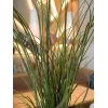EUROPALMS kunstmatig rietgras, 145cm, groen/bruin, voorgespoten 82600229