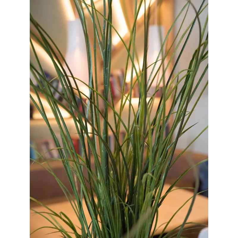 EUROPALMS kunstmatig rietgras, 145cm, groen/bruin, voorgespoten 82600229