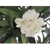 EUROPALMS oleanderboom, kunstplant, wit, 120 cm (82507246)