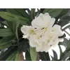EUROPALMS oleanderboom, kunstplant, wit, 120 cm (82507246)