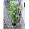 EUROPALMS Dieffenbachia kunstplant 120cm 82508306