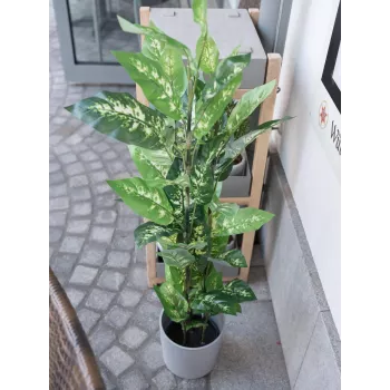EUROPALMS Dieffenbachia kunstplant 120cm 82508306