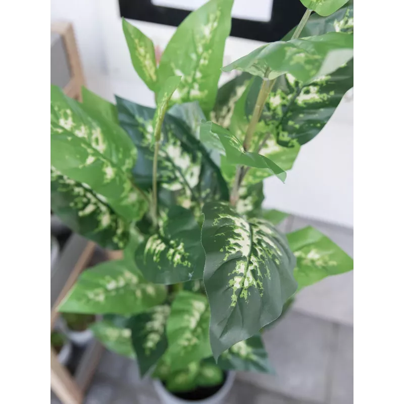 EUROPALMS Dieffenbachia kunstplant 120cm 82508306