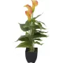 EUROPALMS Calla mini kunstplant, geel-oranje, 43 cm 82540346