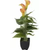 EUROPALMS Calla mini kunstplant, geel-oranje, 43 cm 82540346
