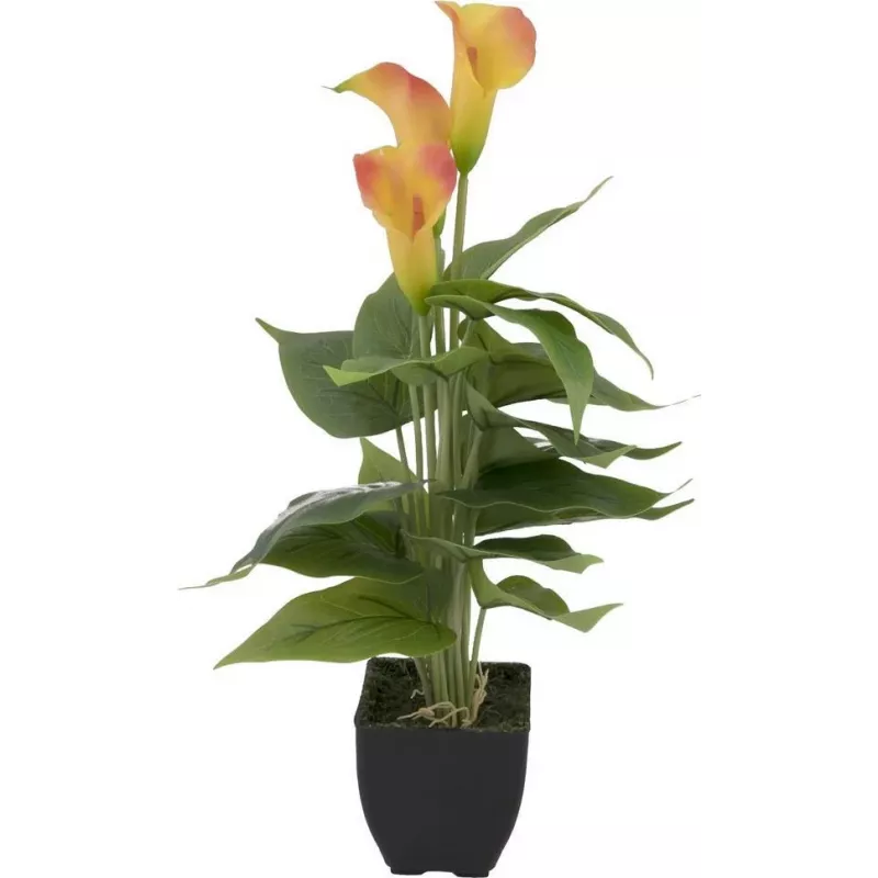 EUROPALMS Calla mini kunstplant, geel-oranje, 43 cm 82540346