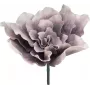 EUROPALMS reusachtige bloem kunstbloem, roos, 80 cm 82531069