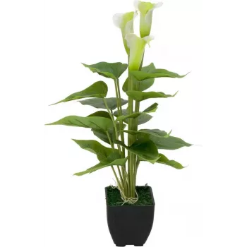 EUROPALMS Calla mini kunstmatige Calla-lelie plant, wit, 43 cm 82540347