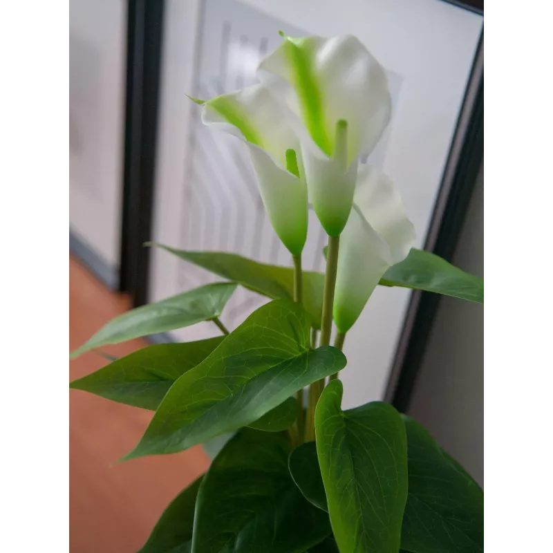 EUROPALMS Calla mini kunstmatige Calla-lelie plant, wit, 43 cm 82540347
